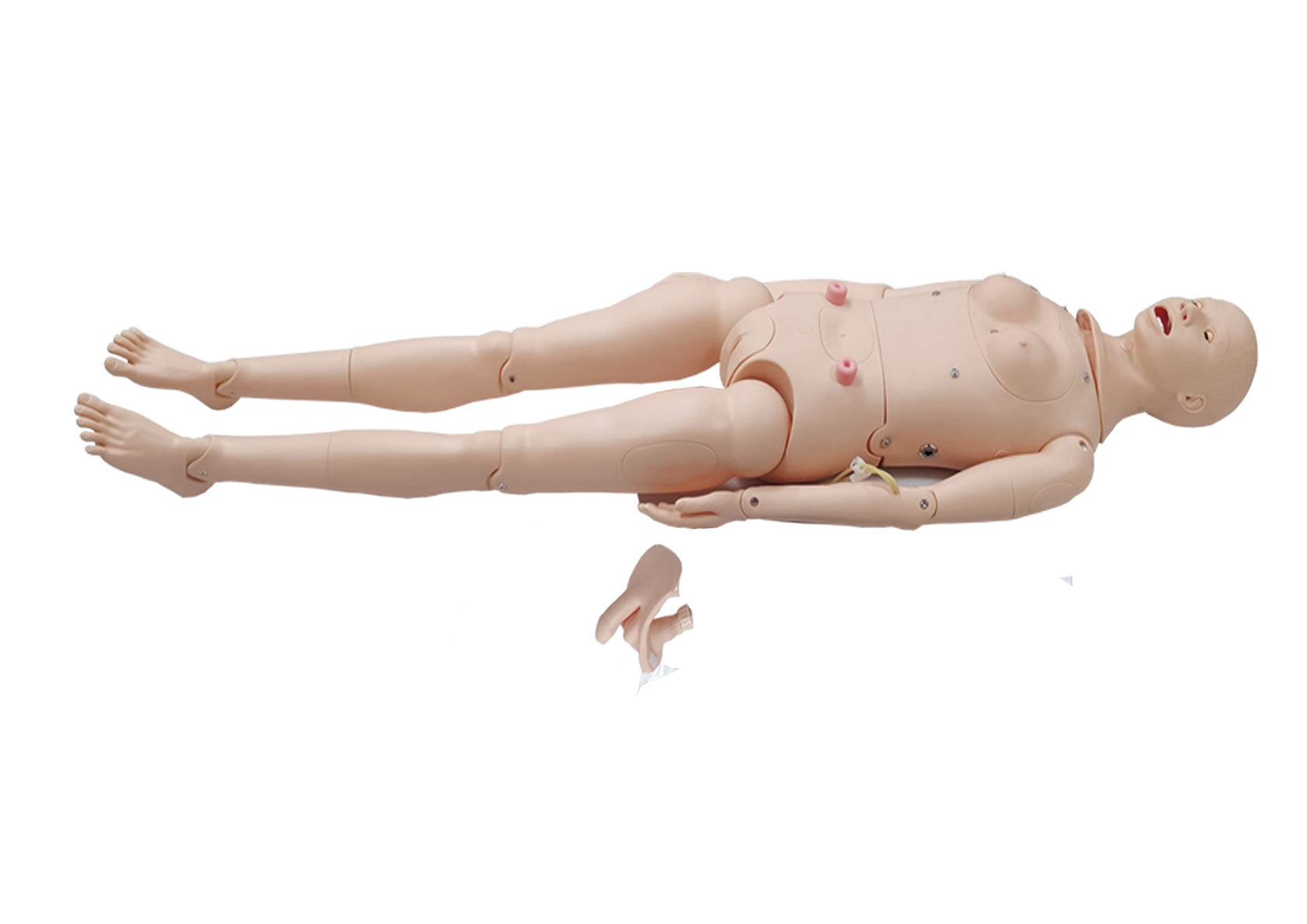 MH002A 多功能护理模拟人